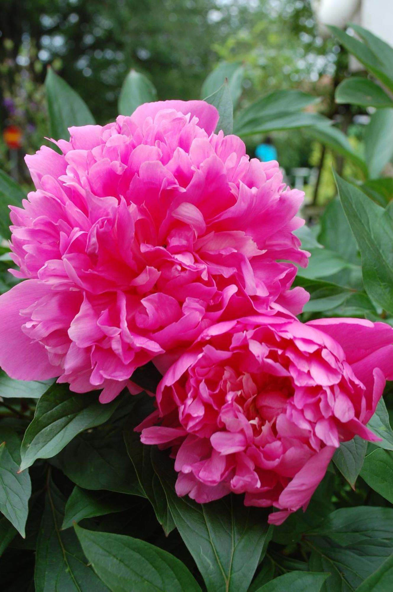 Allegarden Kastloesa Vandrarhem 외부 사진